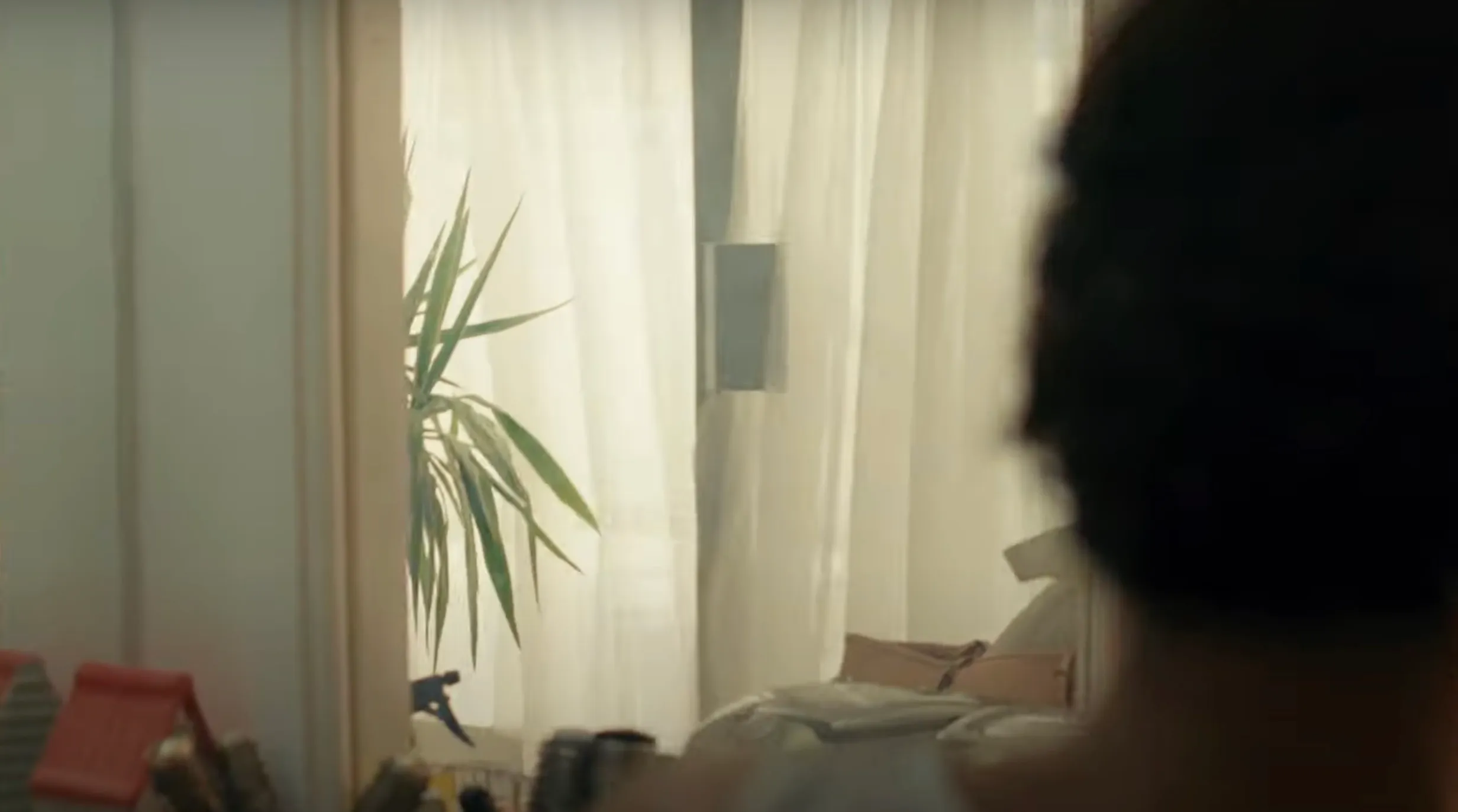 A soft-focus interior with sheer curtains, a houseplant, and warm daylight